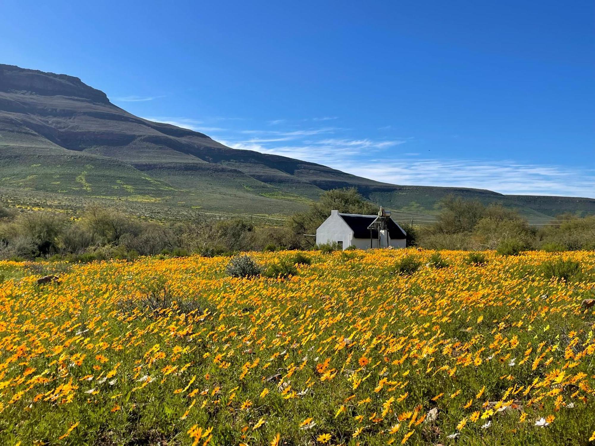 Enjo Nature Farm Clanwilliam Dış mekan fotoğraf