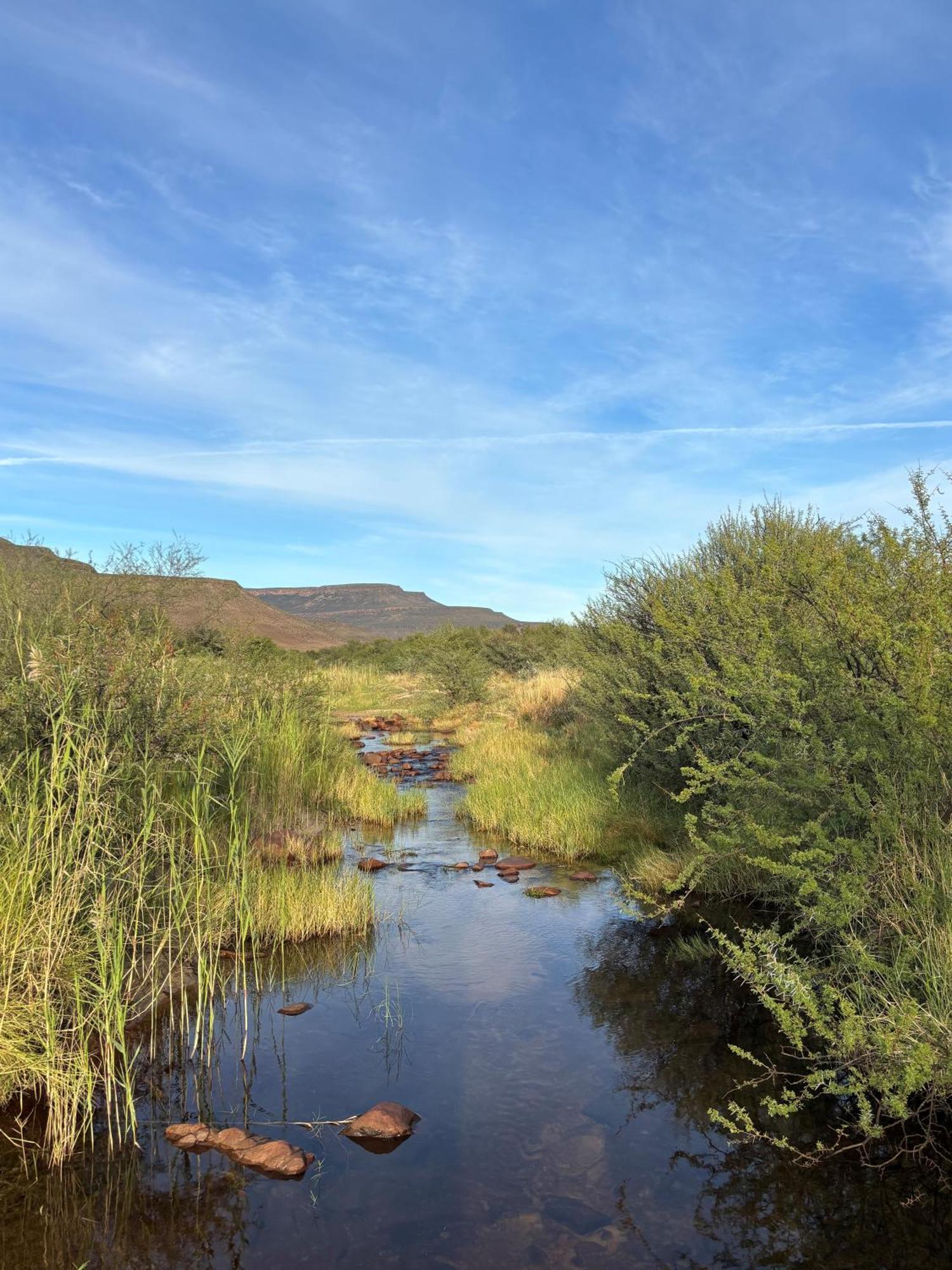 Enjo Nature Farm Clanwilliam Dış mekan fotoğraf