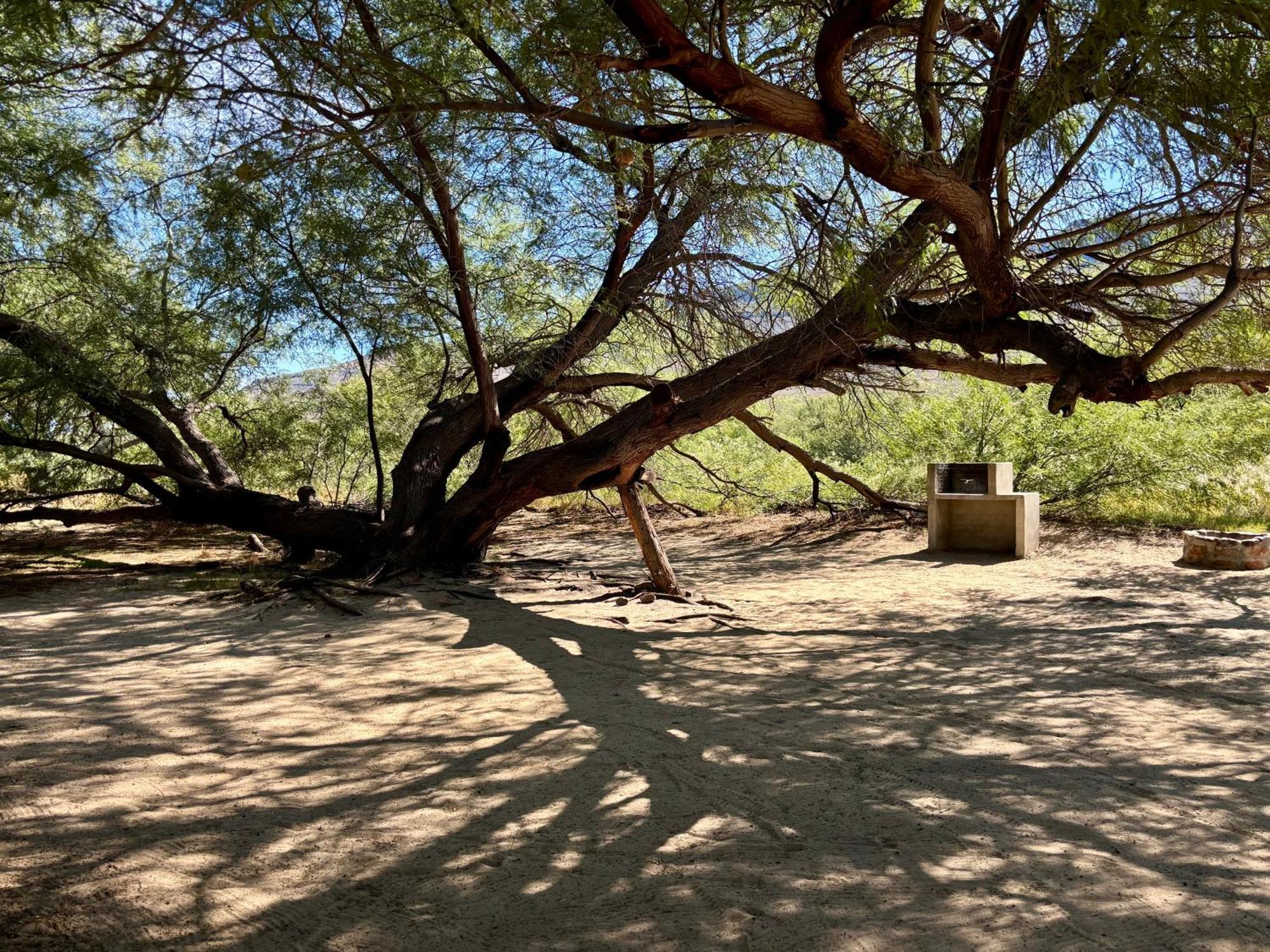Enjo Nature Farm Clanwilliam Dış mekan fotoğraf
